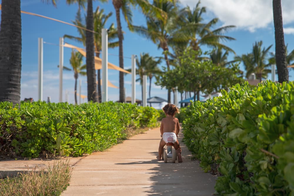 Authentic: The Natural Technique That Makes Families Come Alive